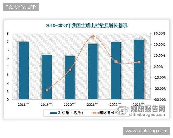 AG九游汇集团：在国际市场中稳步拓展的品牌影响力提升路径