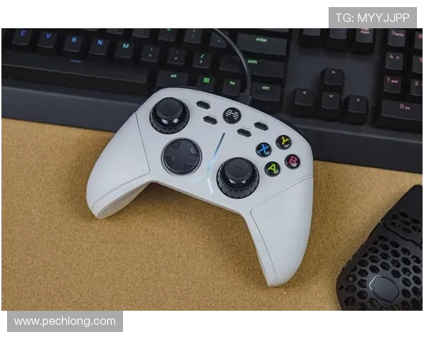 凯发手机版下载：支持多平台兼容，随时随地畅享精彩游戏内容