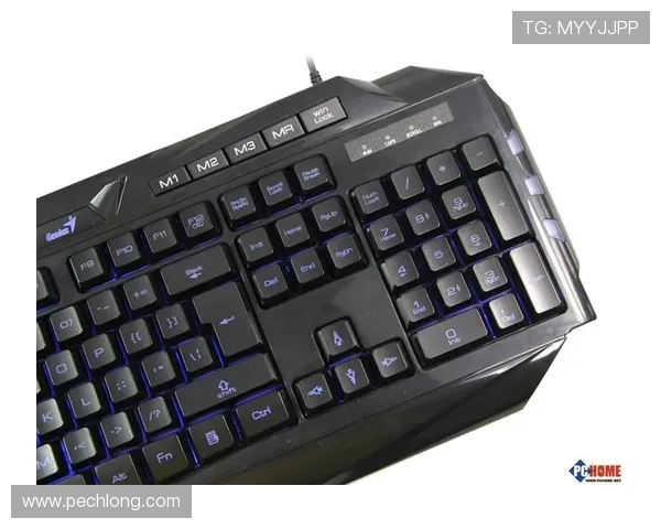 K8.com凯发官方旗舰店游戏新品推荐最新上线游戏资讯一站式掌握