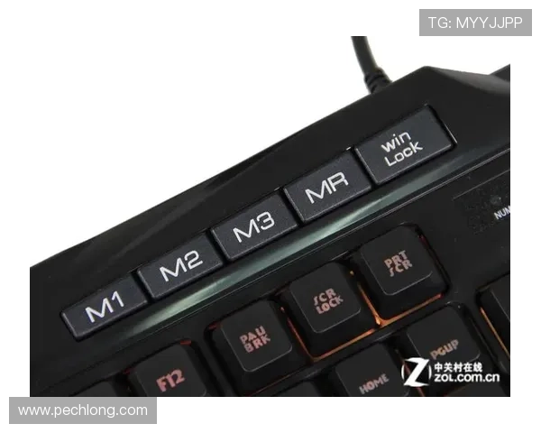 K8电竞登陆界面操作指南与新手入门技巧,帮助新玩家快速熟悉登录流程 K8电竞登陆界面操作指南与新手入门技巧,帮助新玩家快速熟悉登录流程