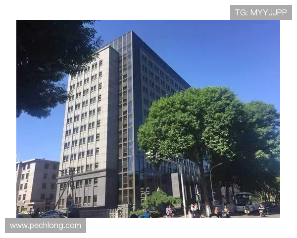 凯发集团官网安全保障措施分析,保障玩家资金与信息安全的最佳实践