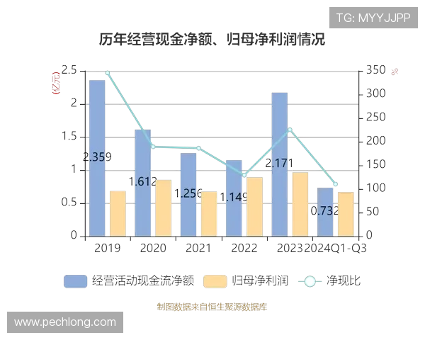 凯发集团简介资料帮助投资者深入分析企业财务状况与盈利能力