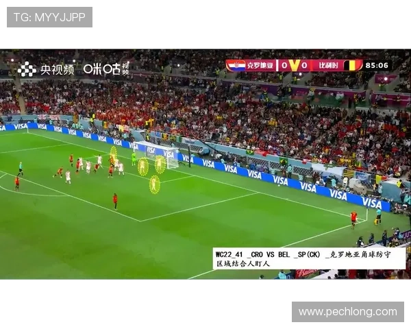 伊朗与比利时角球统计数据详解及比赛关键时刻回顾 伊朗与比利时角球统计数据详解及比赛关键时刻回顾